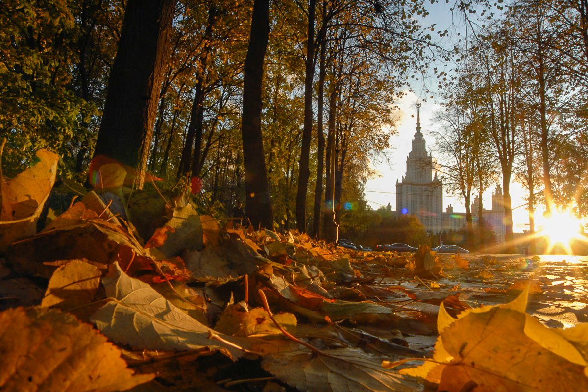 Портрет человека