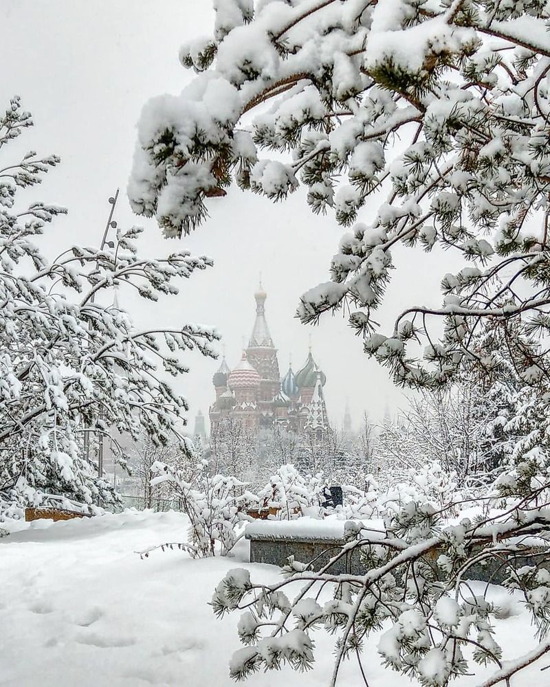 Портрет человека